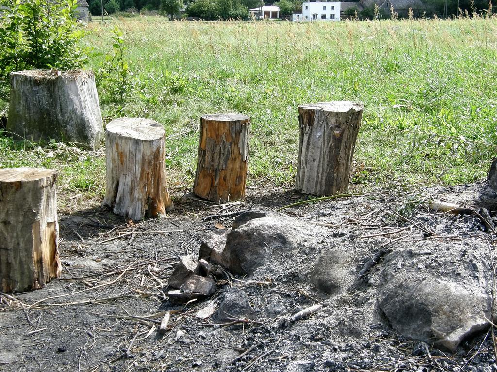 Agroturystyka "Bociek" Bełk Exterior foto