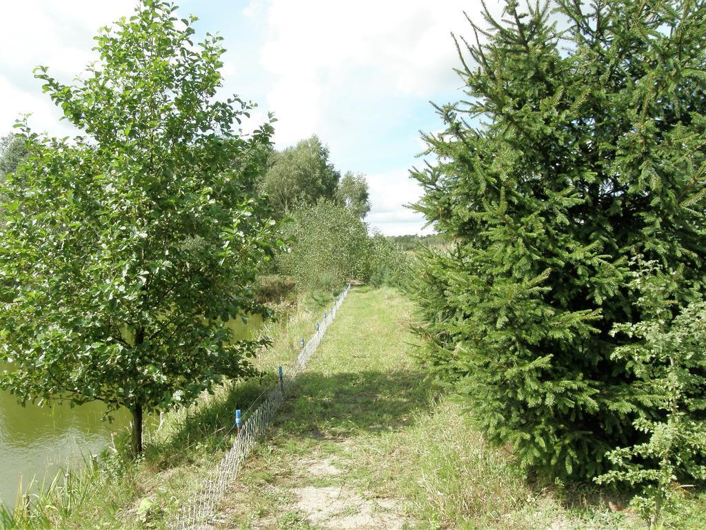Agroturystyka "Bociek" Bełk Exterior foto